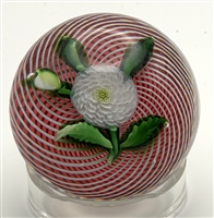 Antique St. Louis Camomile Paperweight