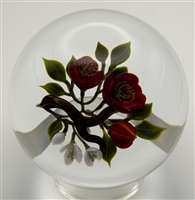 1994 Victor Trabucco Red China Rose Paperweight