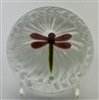 Paul Ysart Dragonfly Paperweight