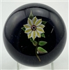 Paul Ysart Double Clematis Paperweight