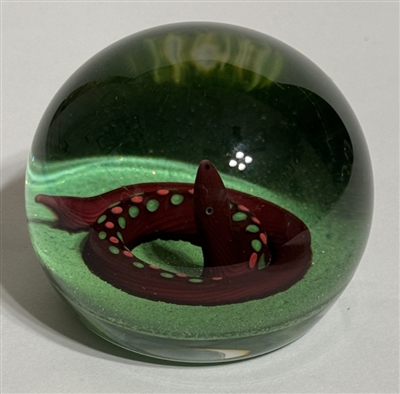 Paul Ysart Spotted Red Snake on Green Ground