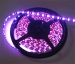 Hot Pink LED Flex Strips Ribbon Lights -12vdc, Waterproof, 300 LED 5050, Pink, High Output - 5M Spool