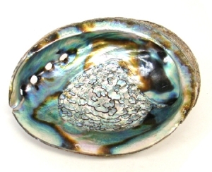 Abalone Shell For Smudging