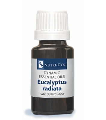 Dynamic Essentials Eucalyptus Radiata