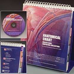 Anatomical Chart Health Care Educational Collection: The Professional's Reference for Patient Communication