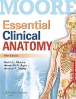 Essential Clinical Anatomy 5th Edition