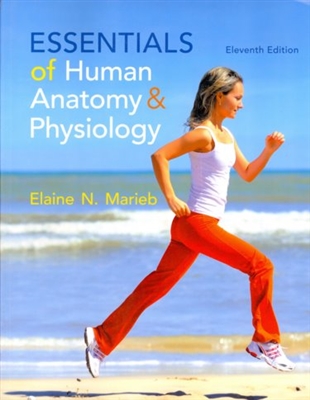 Essentials of Human Anatomy & Physiology