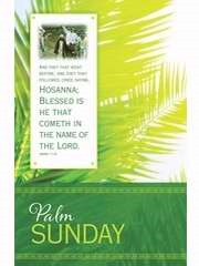 Bulletin-Palm Sunday: Hosanna: 081407014524