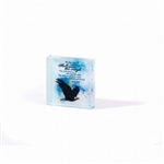 But Those Who Wait Glass Block: 603799382625