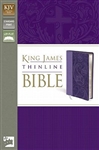 KJV Thinline Bible: 9780310439127