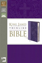 KJV Thinline Bible: 9780310439127