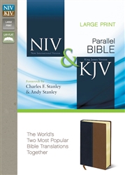 NIV & KJV Side-By-Side Bible/Large Print: 9780310439349