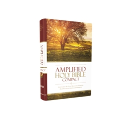 Amplified Holy Bible/Compact: 9780310443995