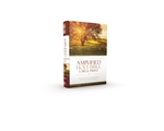 Amplified Holy Bible/Large Print: 9780310444039