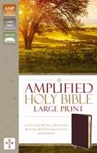 Amplified Holy Bible/Large Print (Revised): 9780310444053