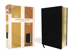 KJV/Amplified Parallel Bible/Large Print: 9780310446699