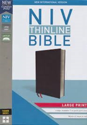 NIV Thinline Bible/Large Print (Comfort Print): 9780310448334