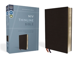 NIV Thinline Bible (Comfort Print): 9780310448761