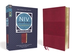 NIV Study Bible/Large Print (Fully Revised Edition): 9780310449201