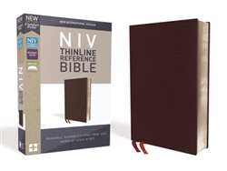 NIV Thinline Reference Bible (Comfort Print): 9780310449638