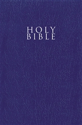 NIV Gift & Award Bible (Comfort Print): 9780310450399