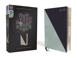 NIV Teen Study Bible (Comfort Print): 9780310456001