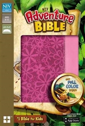 NIV*Adventure Bible: 9780310727514