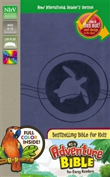 NIrV Adventure Bible For Early Readers (Full Color): 9780310745297