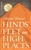 Hinds' Feet On High Places by Hurnard: 9780842314299