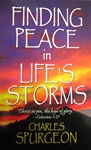 Finding Peace in Life's Storms