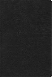 Span-RVR 1960 Rainbow Study Bible: 9781087706030