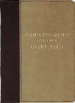 God's Promises For Your Every Need:  9781404187085