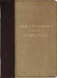 God's Promises For Your Every Need:  9781404187085
