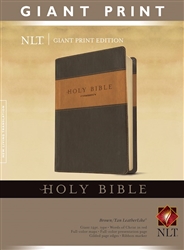 NLT2 Giant Print Bible: 9781414337487