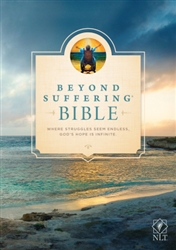 NLT2 Beyond Suffering Bible: 9781414392028