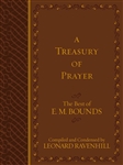 A Treasury Of Prayer: 9781424554744