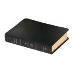 NRSV Premium Bible: 9781426711411