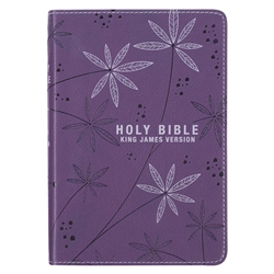 KJV Compact Bible: 9781432102333