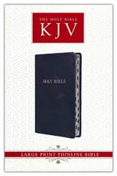 KJV Large Print Thinline Bible: 9781432133184