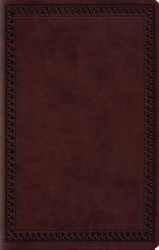 ESV Large Print Value Thinline Bible: 9781433550294