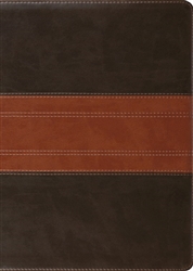 ESV Study Bible/Large Print: 9781433564727