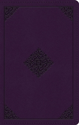 ESV Large Print Personal Size Bible: 9781433581663