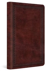 ESV Thinline Bible: 9781433587108