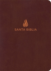 RVR 1960 Giant Print Reference Bible (Biblia Letra Gigante con Referencias): 9781462791507