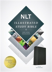 NLT Illustrated Study Bible: 9781496402011