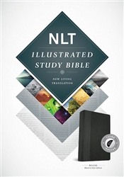 NLT Illustrated Study Bible: 9781496402028