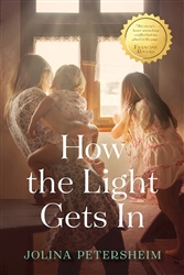 How The Light Gets In by Petersheim: 9781496434173