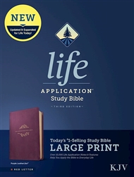 KJV Life Application Study Bible/Large Print: 9781496439833