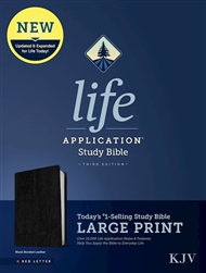 KJV Life Application Study Bible/Large Print: 9781496439871