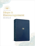 NLT Dayspring Hope & Encouragement Bible: 9781496452924